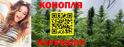 эйфоретик Аша