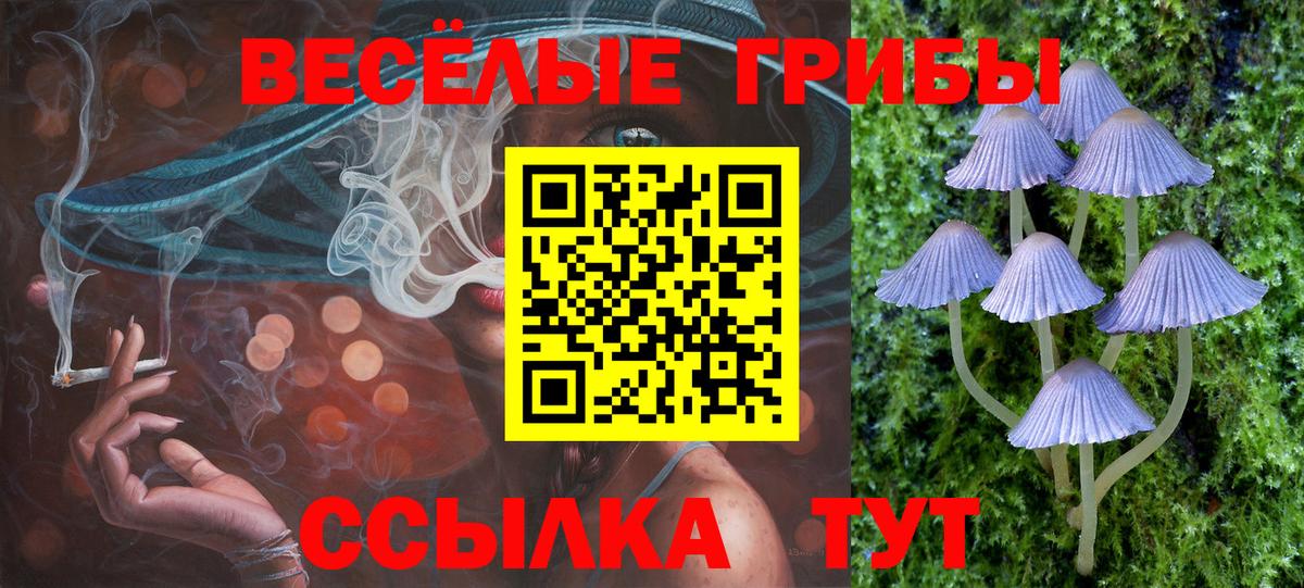 где можно купить наркотик  Вход с VPN  Псилоцибиновые грибы Psilocybe  Джанкой  Галлюциногенные грибы прущие грибы 