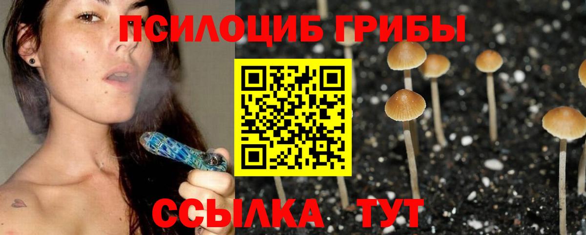 Псилоцибиновые грибы Psilocybe Джанкой